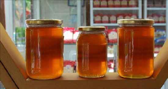 عسل کنار در طب سنتی ؛ خواص و مضرات مصرف کنار از نظر طب سنتی