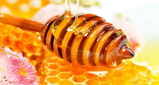عسل کنار گرمه یا سرد ؛ آشنایی با طبیعت عسل کنار