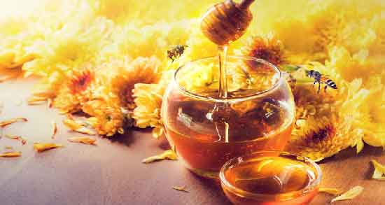 عسل کوهی برای ناخنک چشم و فواید استفاده از عسل کوهی برای درمان ناخنک چشم عسل کوهی برای ناخنک چشم ؛ فواید استفاده از عسل کوهی برای درمان ناخنک چشم