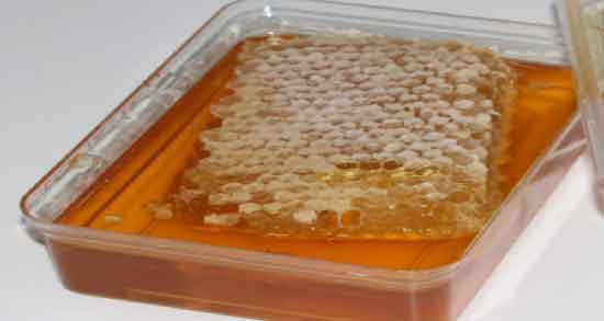 عسل گون برای چی خوبه ؛ برای درمان کدام بیماری مصرف عسل گون مفید است