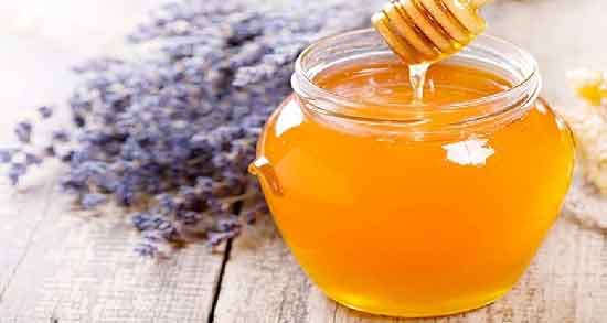 عسل گون چیست ؛ همه چیز درباره خواص و مضرات مصرف عسل گون