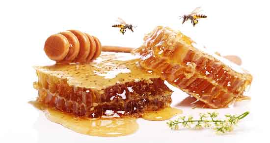 عسل یونجه برای چاقی و تاثیر خوردن عسل یونجه برای افزایش وزن عسل یونجه برای چاقی ؛ تاثیر خوردن عسل یونجه برای افزایش وزن