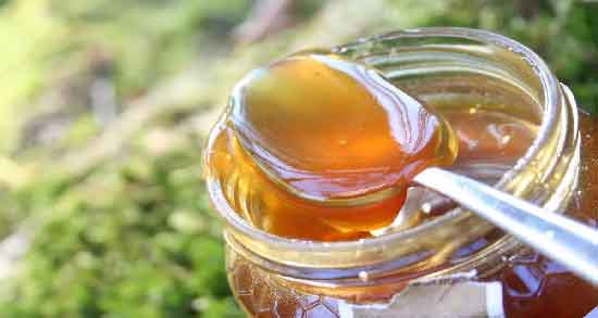 عسل یونجه در بارداری و خواص و مضرات مصرف عسل یونجه برای زن باردار عسل یونجه در بارداری ؛ خواص و مضرات مصرف عسل یونجه برای زن باردار