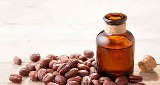عوارض جوجوبا ؛ مضرات روغن جوجوبا برای زنان باردار چیست