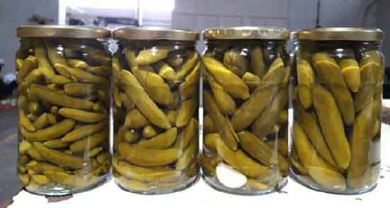 عوارض خیار شور و همه چیز درباره عوارض و مضرات مصرف خیار شور عوارض خیار شور ؛ همه چیز درباره عوارض و مضرات مصرف خیار شور