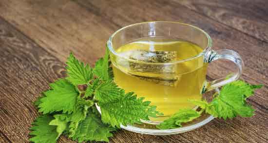 عوارض دمنوش گزنه ؛ مصرف دمنوش گزنه چه عوارضی برای سلامتی دارد