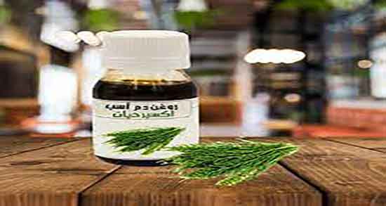 عوارض روغن دم اسب ؛ مضرات مصرف روغن دم اسب برای نوزادان