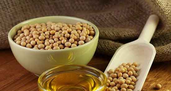 عوارض روغن سویا ؛ مضرات مصرف روغن سویا و آفتابگردان برای چاقی