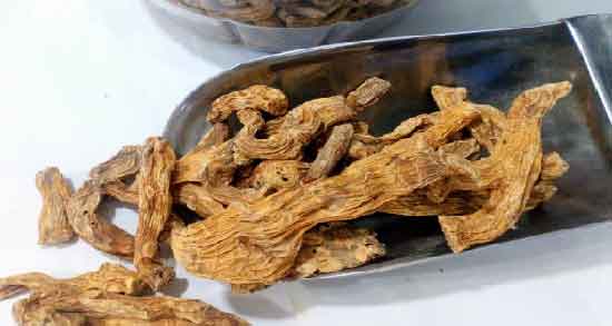 عوارض ریشه زرشک و استفاده از ریشه زرشک چه عوارضی برای سلامتی دارد عوارض ریشه زرشک ؛ استفاده از ریشه زرشک چه عوارضی برای سلامتی دارد