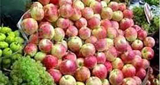 عوارض سیب گلاب ؛ ایا خوردن سیب گلاب برای گوارش کودکان مضره