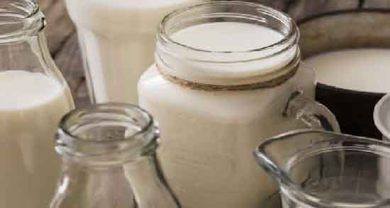 عوارض شیر الاغ و آشنایی با عوارض و مضرات مصرف شیر الاغ عوارض شیر الاغ ؛ آشنایی با عوارض و مضرات مصرف شیر الاغ