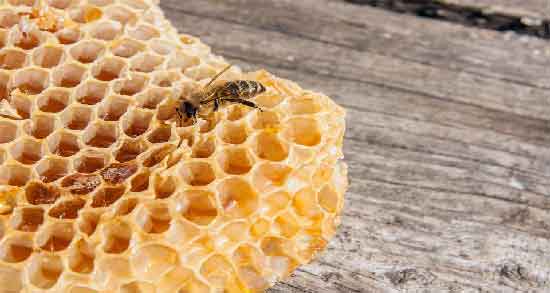 عوارض موم عسل برای معده ؛ بررسی مضرات مصرف موم عسل برای بیماری معده