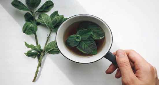 عوارض نعناع فلفلی چیست و مصرف نعناع فلفلی چه عوارضی برای سلامتی دارد عوارض نعناع فلفلی چیست ؛ مصرف نعناع فلفلی چه عوارضی برای سلامتی دارد