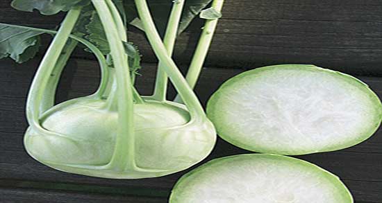 عوارض کلم سنگ ؛ ایا خوردن کلم سنگ برای کودکان مضر است