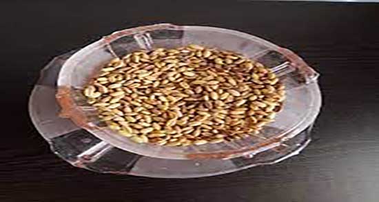عوارض گندم بو داده ؛ مضرات خوردن گندم برشته در دوران بارداری
