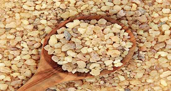 عکس ادامس کوهی ؛ تصویر ادامس کوهی در اینترنت + شکل ادامس کوهی