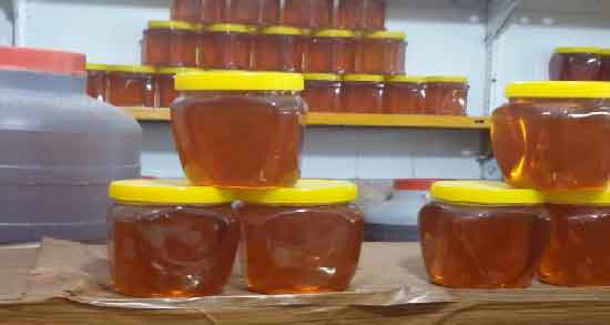 عکس عسل بهاره و مشخصات ظاهری عسل بهاره چگونه است عکس عسل بهاره ؛ مشخصات ظاهری عسل بهاره چگونه است