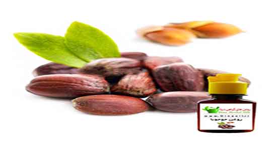 فواید جوجوبا ؛ خاصیت مصرف روغن جوجوبا برای تقویت مژه و ابرو