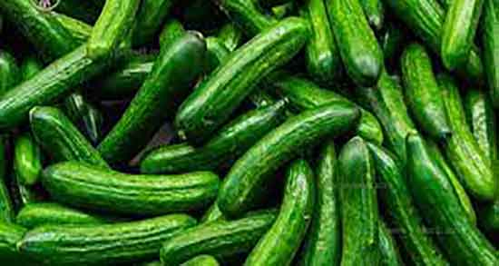 فواید خیار سبز برای پوست ؛ مصرف مفید خیار سبز برای درمان جوش صورت