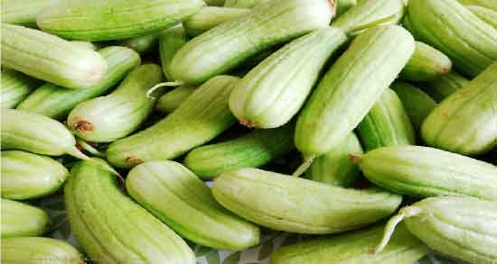 فواید خیار چنبر در بارداری ؛ تاثیر خوردن خیار چنبر برای زن باردار