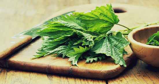 فواید دمنوش گزنه برای پوست و درمان لک های تیره پوستی با مصرف دمنوش گزنه فواید دمنوش گزنه برای پوست ؛ درمان لک های تیره پوستی با مصرف دمنوش گزنه