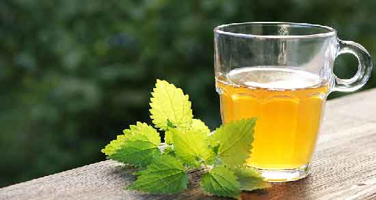 فواید دمنوش گزنه و آشنایی با خاصیت درمانی مصرف دمنوش گزنه فواید دمنوش گزنه ؛ آشنایی با خاصیت درمانی مصرف دمنوش گزنه