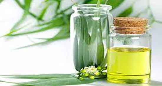 فواید روغن اکالیپتوس ؛ خواص روغن اکالیپتوس برای پوست صورت و بدن