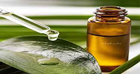 فواید روغن درخت چای برای جوش ؛ استفاده روغن درخت چای برای جوش