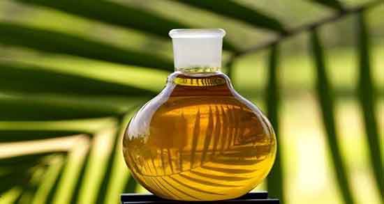 فواید روغن درخت چای برای مو و خواص روغن درخت چای برای پوست و مو فواید روغن درخت چای برای مو ؛ خواص روغن درخت چای برای پوست و مو