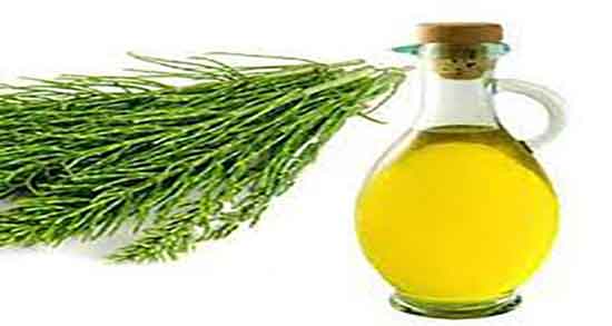 فواید روغن دم اسب ؛ خواص خوردن روغن دم اسب برای رشد ناخن