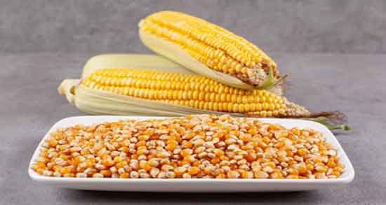 فواید روغن ذرت برای بدن ؛ آیا روغن ذرت برای کبد چرب مضر است