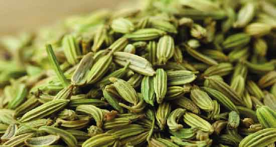 فواید روغن رازیانه برای پوست و مو ؛ حفظ شادابی پوست و مو با مصرف روغن رازیانه