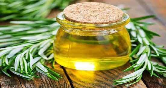 فواید روغن رزماری برای ابرو و پرپشت شدن ابرو با استفاده از روغن رزماری فواید روغن رزماری برای ابرو ؛ پرپشت شدن ابرو با استفاده از روغن رزماری