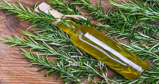 فواید روغن رزماری برای پوست صورت ؛ کاهش چین و چروک پوست با روغن رزماری