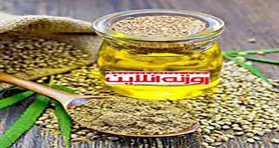 فواید روغن شاهدانه برای مو ؛ ایا روغن شاهدانه برای تقویت مو مفیده