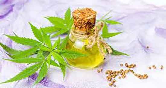 فواید روغن شاهدانه برای پوست صورت ؛ خواص روغن شاهدانه برای پوست