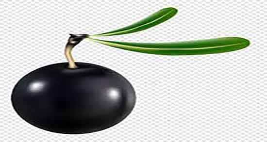 فواید زیتون سیاه برای لاغری ؛ خواص مصرف زیتون سیاه برای چربی سوزی