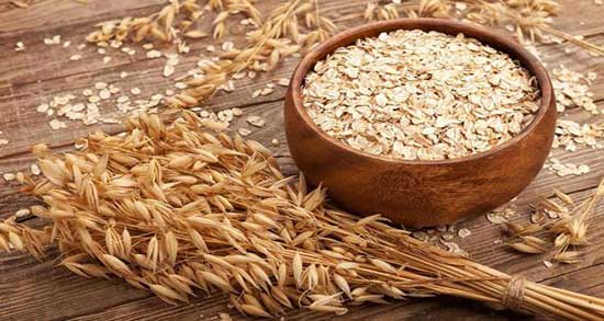 فواید سبوس گندم برای دام ؛ خواص مصرف سبوس گندم برای گاو