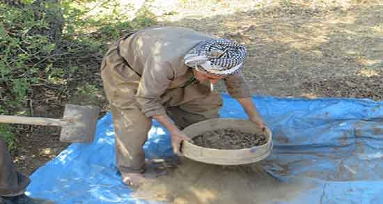 فواید سقز چیست ؛ خاصیت سقز برای درمان پوست صورت و بدن