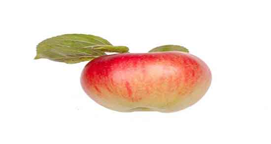 فواید سیب برای ریه و خاصیت مصرف اب سیب برای درمان عفونت ریه فواید سیب برای ریه ؛ خاصیت مصرف اب سیب برای درمان عفونت ریه