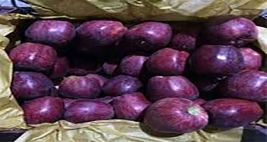 فواید سیب و انار ؛ ایا ترکیب اب سیب و انار برای بی خوابی مفید است