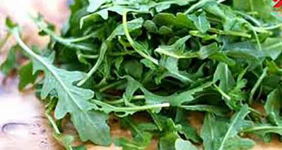 فواید شاهی آبی و خاصیت مصرف شاهی ابی برای انواع پرندگان فواید شاهی آبی ؛ خاصیت مصرف شاهی ابی برای انواع پرندگان