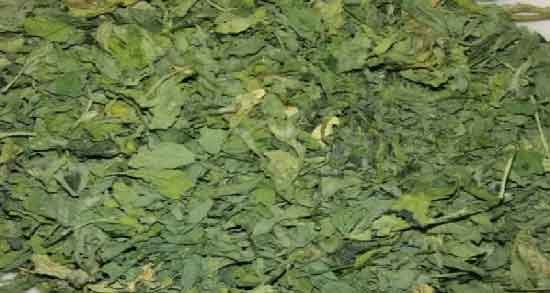 فواید شنبلیله خشک ؛ بررسی خواص درمانی و کاربردهای شنبلیله خشک همگی در سایت پارس خبر.امیدواریم این مطلب که حاصل تلاش تیم خواص مواد غذایی سایت است مورد توجه شما سروران گرامی قرار گیرد.