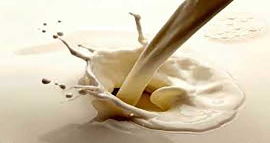 فواید شیر شتر برای دوران بارداری ؛ خواص مصرف شیر شتر برای زنان باردار