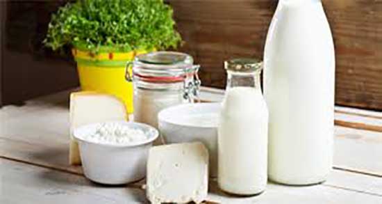 فواید شیر شتر برای زن باردار ؛ شیر شتر برای زنان باردار از نظر طب اسلامی