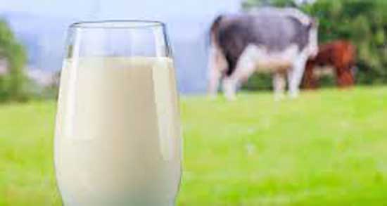 فواید شیر گاو برای نوزاد ؛ ایا میتوان شیر گاو را به نوزادان داد یا نه