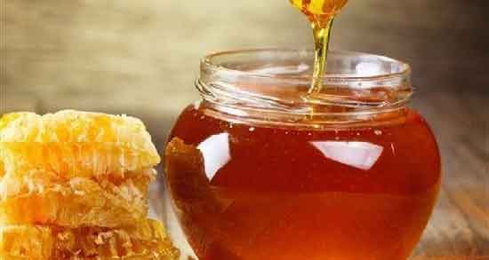 فواید عسل گون ؛ آشنایی با خواص درمانی و فواید عسل گون