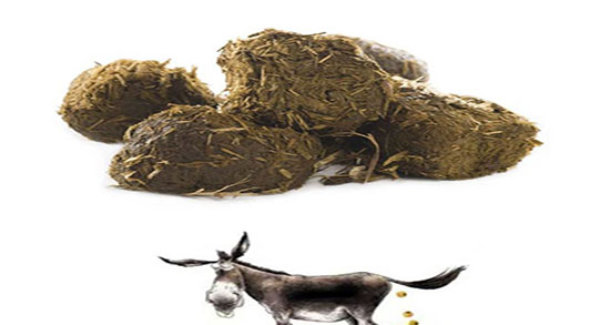 فواید عنبر نسا برای رحم ؛ خواص عنبر نسا برای درمان زخم دهانه رحم