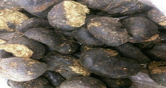 فواید عنبر نسارا برای رحم ؛ خواص مصرف عنبر نسارا برای چسبندگی رحم