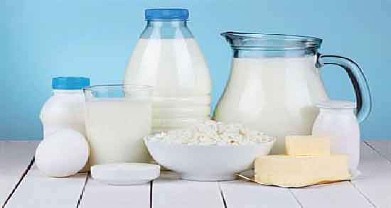 فواید لبنیات ؛ آشنایی با خواص و فواید مصرف لبنیات برای سلامتی